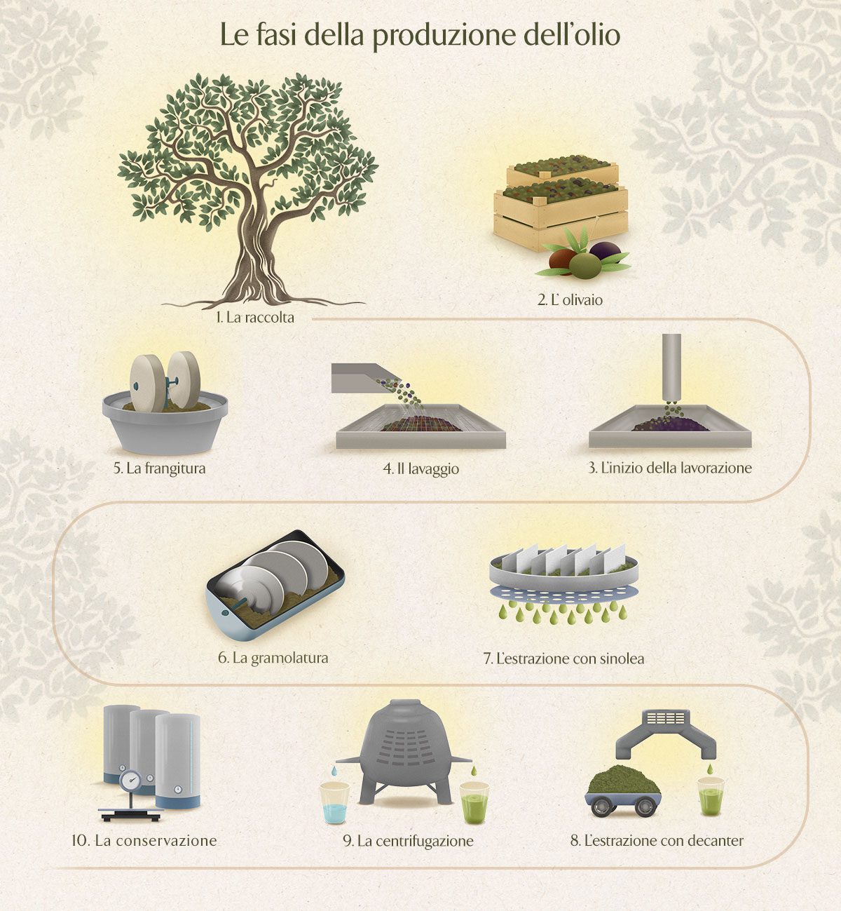 infografica produzione olio
