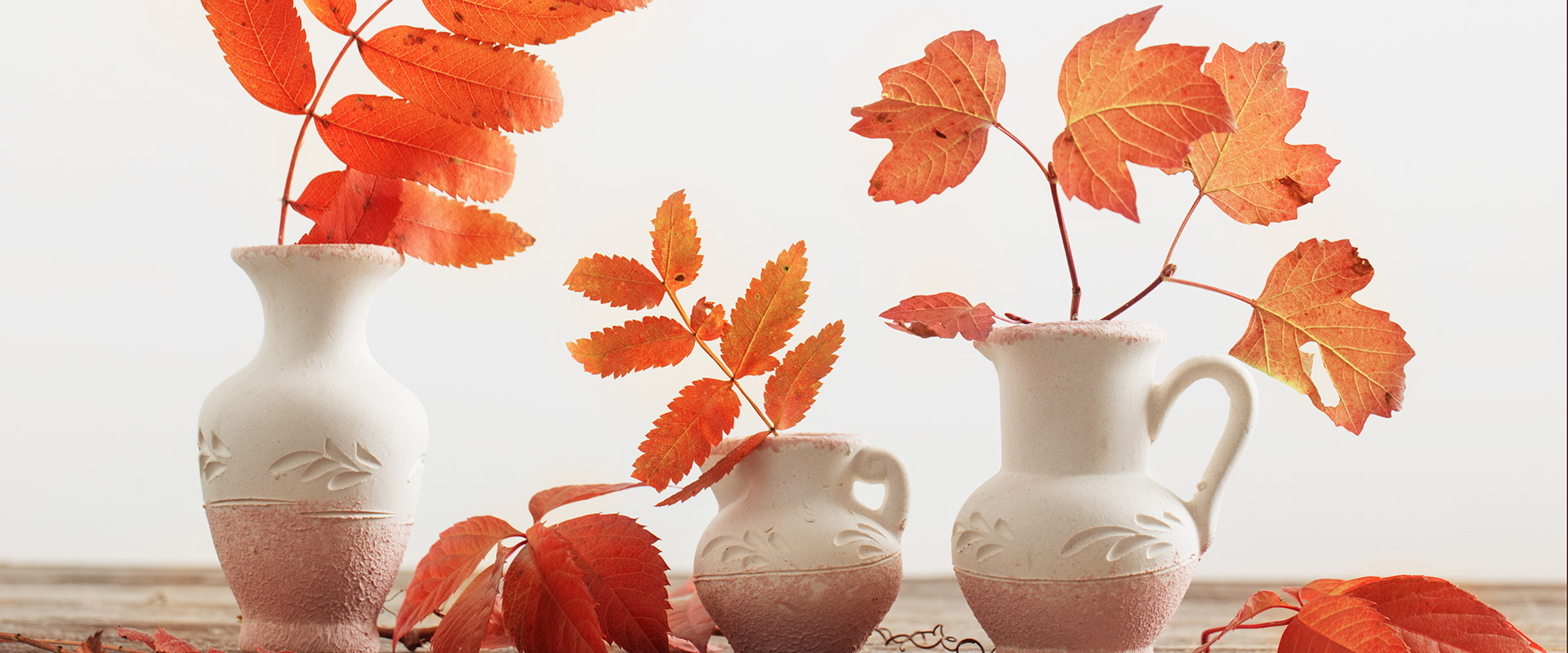 Dekorationen mit Herbstlaub – Fratelli Carli