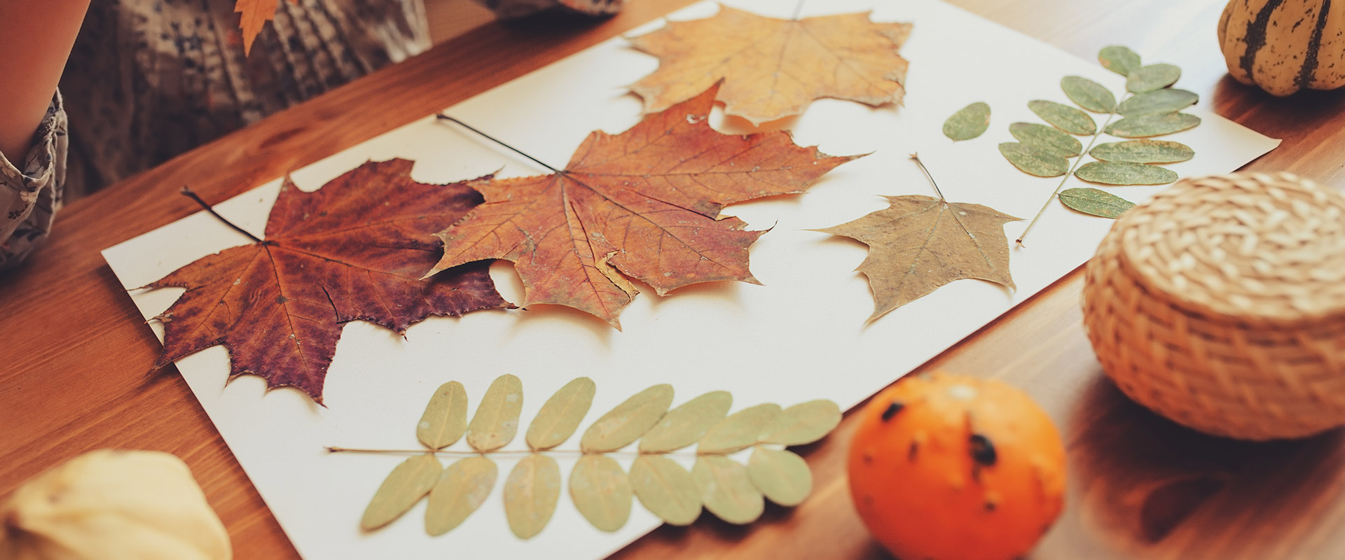 Dekorationen Herbstlaub – Fratelli Carli