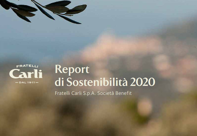 Nachhaltigkeitsberichte 2020