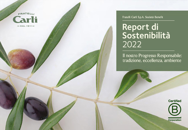 Nachhaltigkeitsberichte 2022