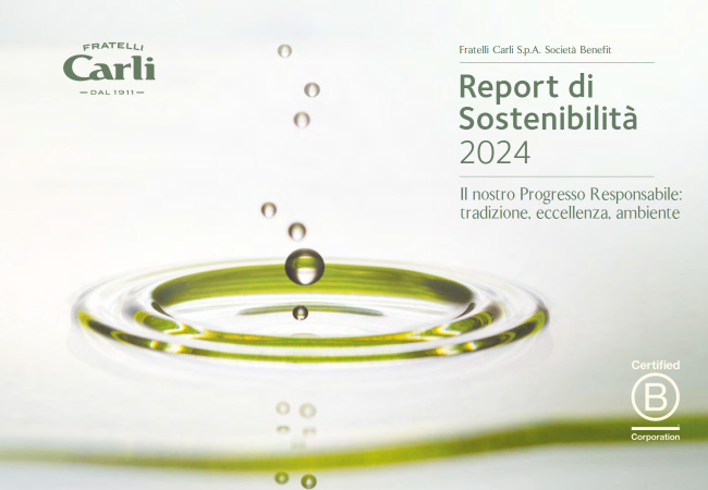 Nachhaltigkeitsberichte 2024