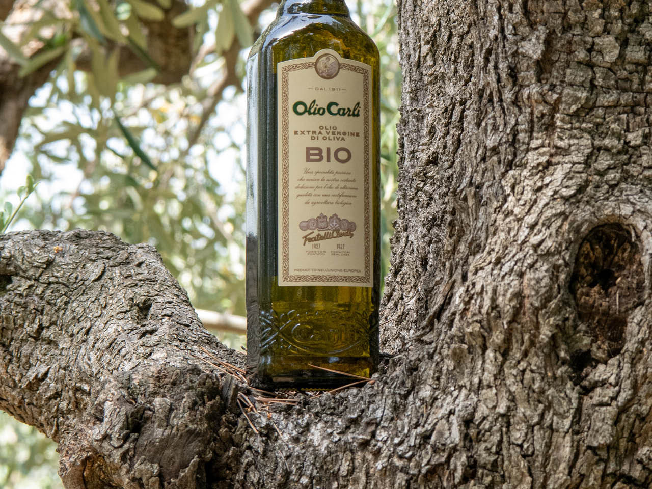 Flasche Bio-Natives Olivenöl Extra
