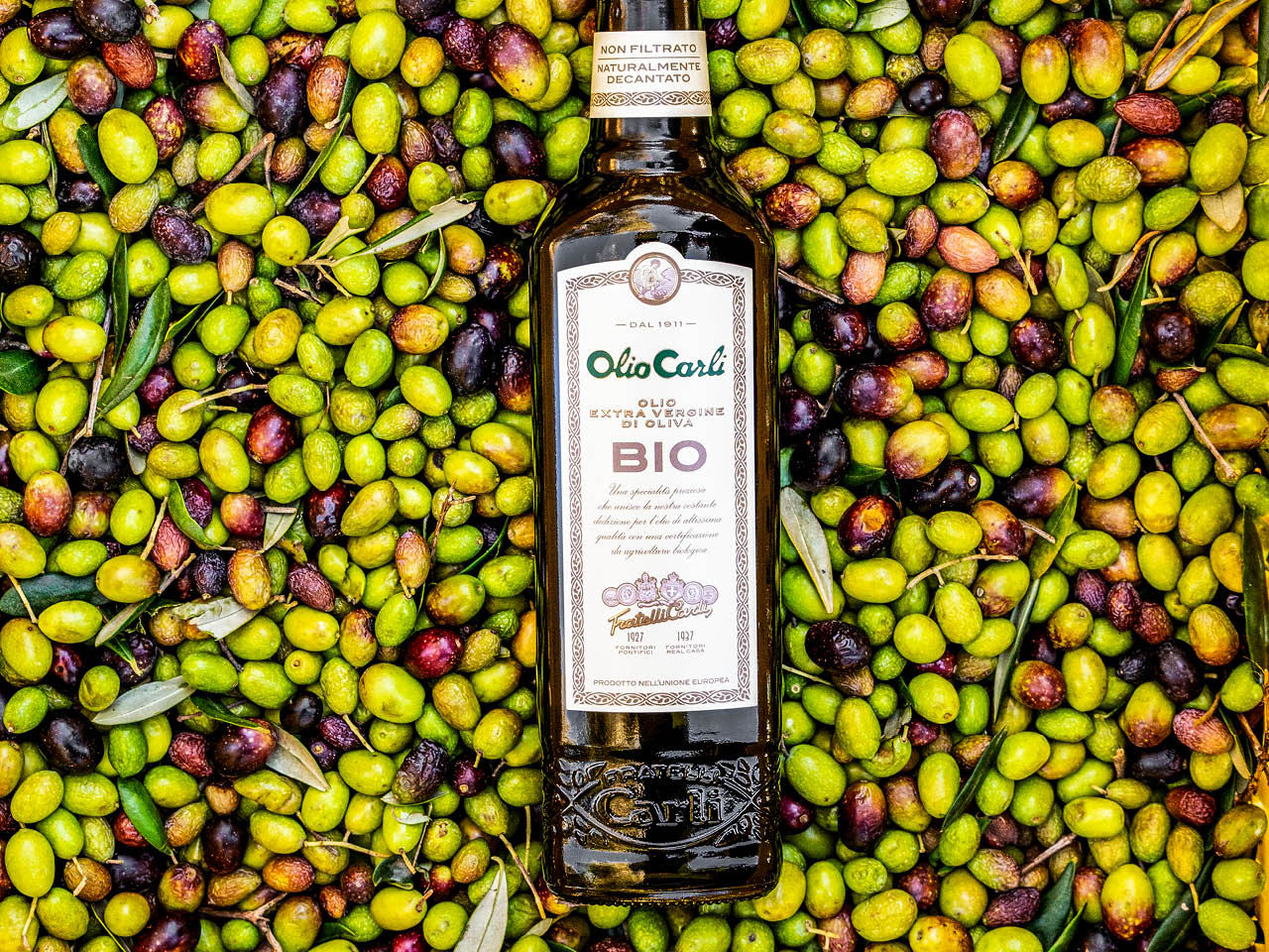 Flasche Bio-Olivenöl mit Oliven